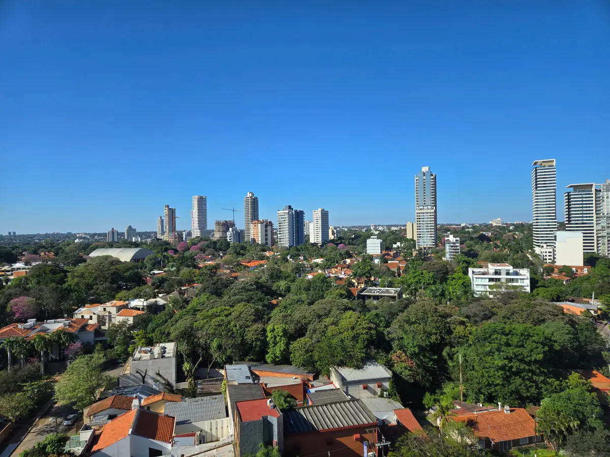 Asunción vista desde arriba: torres entre los árboles